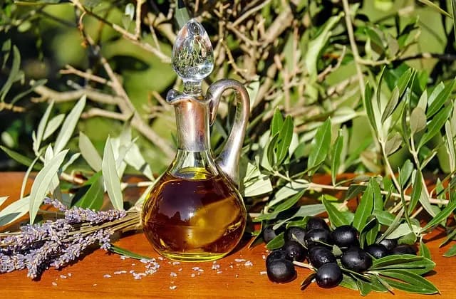 Guide d'achat : machine à récolter les olives